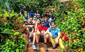 Raiz Hostel Medellin  Colombia