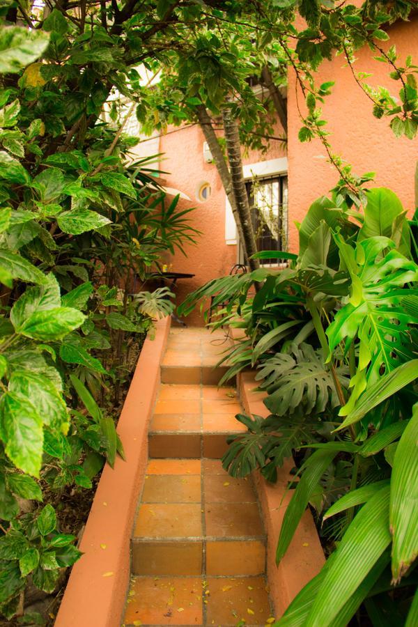 Raiz Hostel Medellin Exterior photo